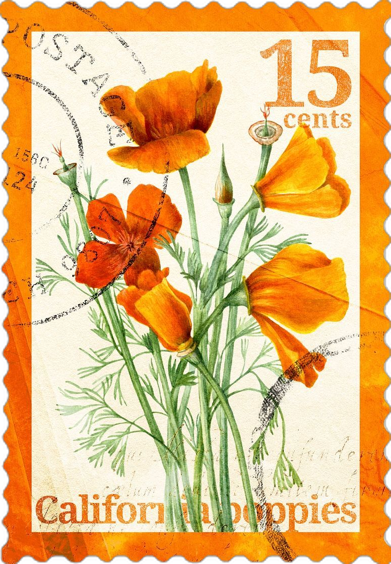 Stamp 12