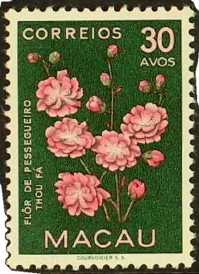 Stamp 16