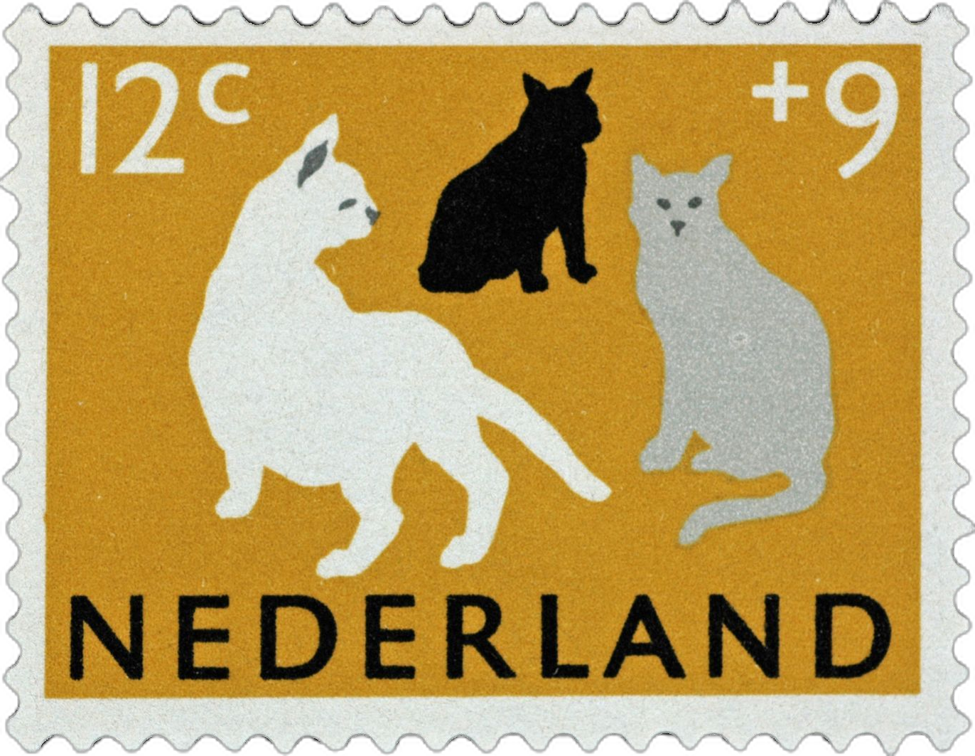 Stamp 19