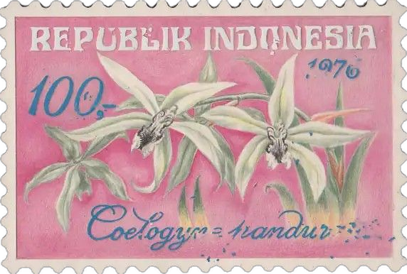 Stamp 20