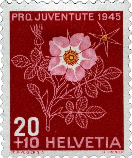 Stamp 3