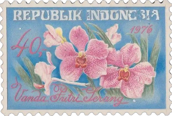 Stamp 6