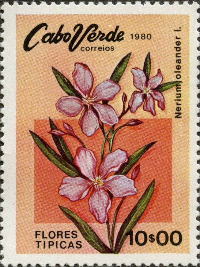 Stamp 8