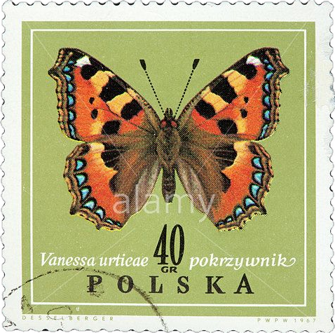 Stamp 9